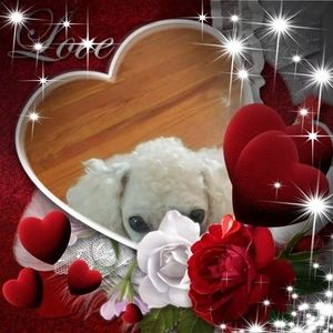 Meet your Posher, Hazel